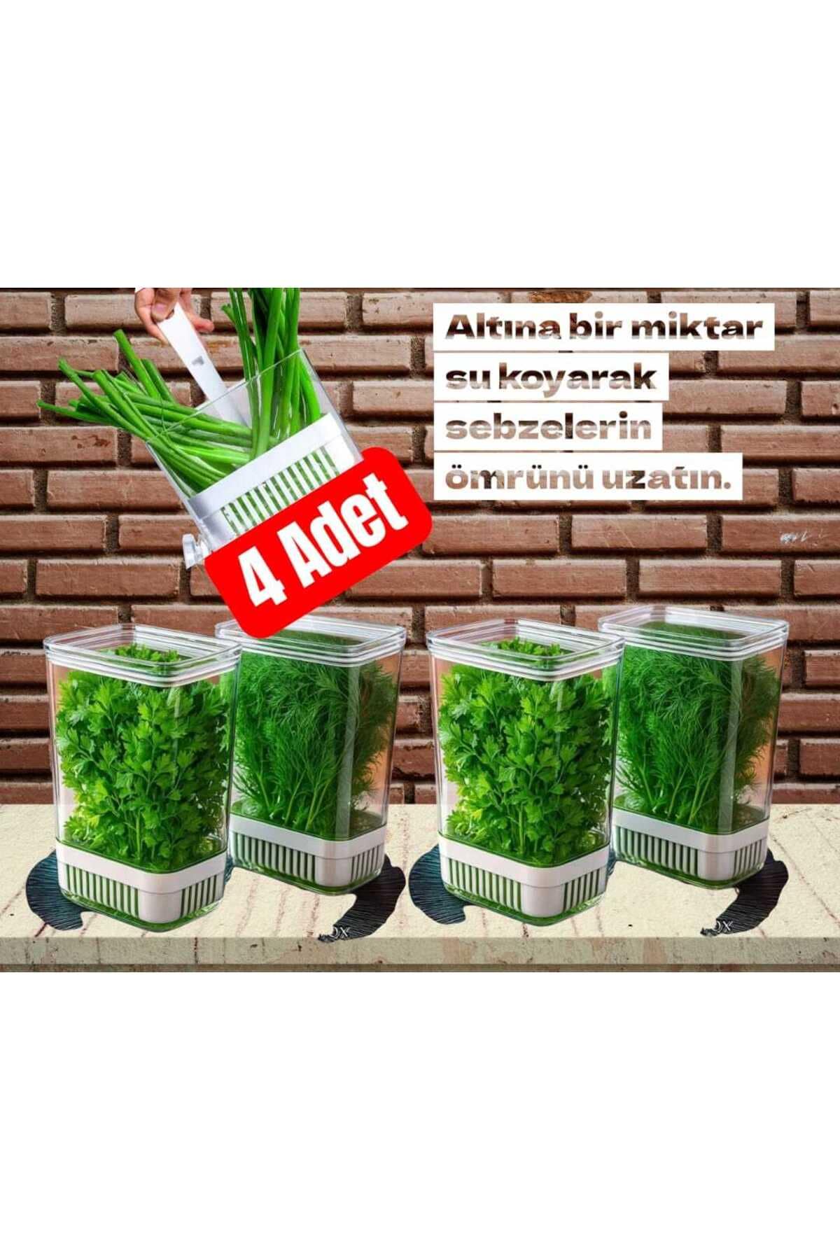 Yeşillik Saklama Kabı 4 Ad 2900ML Maydonoz,dereotu,tere Roka Yeşillik Sebze Kabı