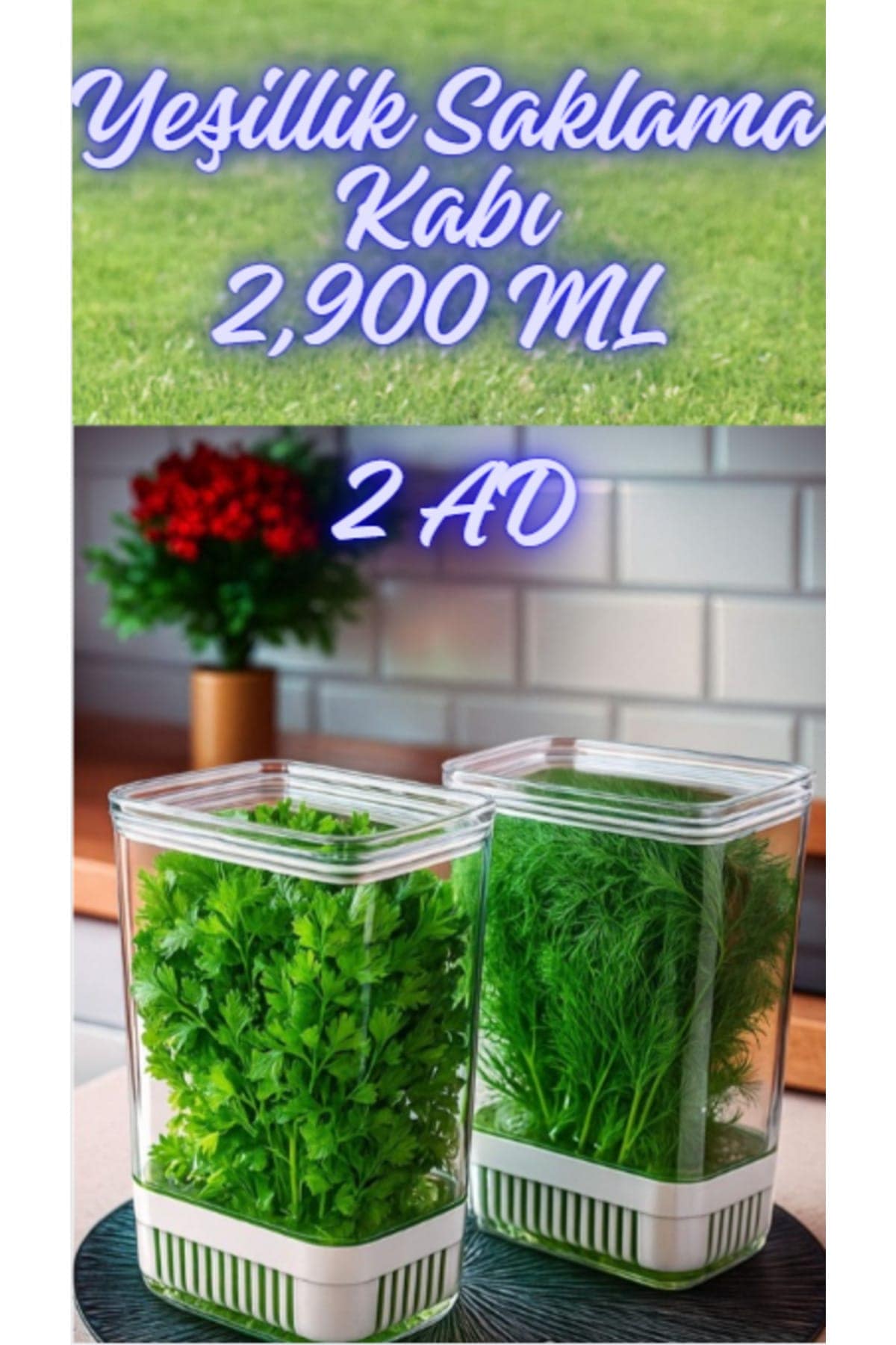 Yeşillik Saklama Kabı 2 Ad 2900ML Maydonoz,dereotu,tere Roka Yeşillik Sebze Kabı - Görsel 3