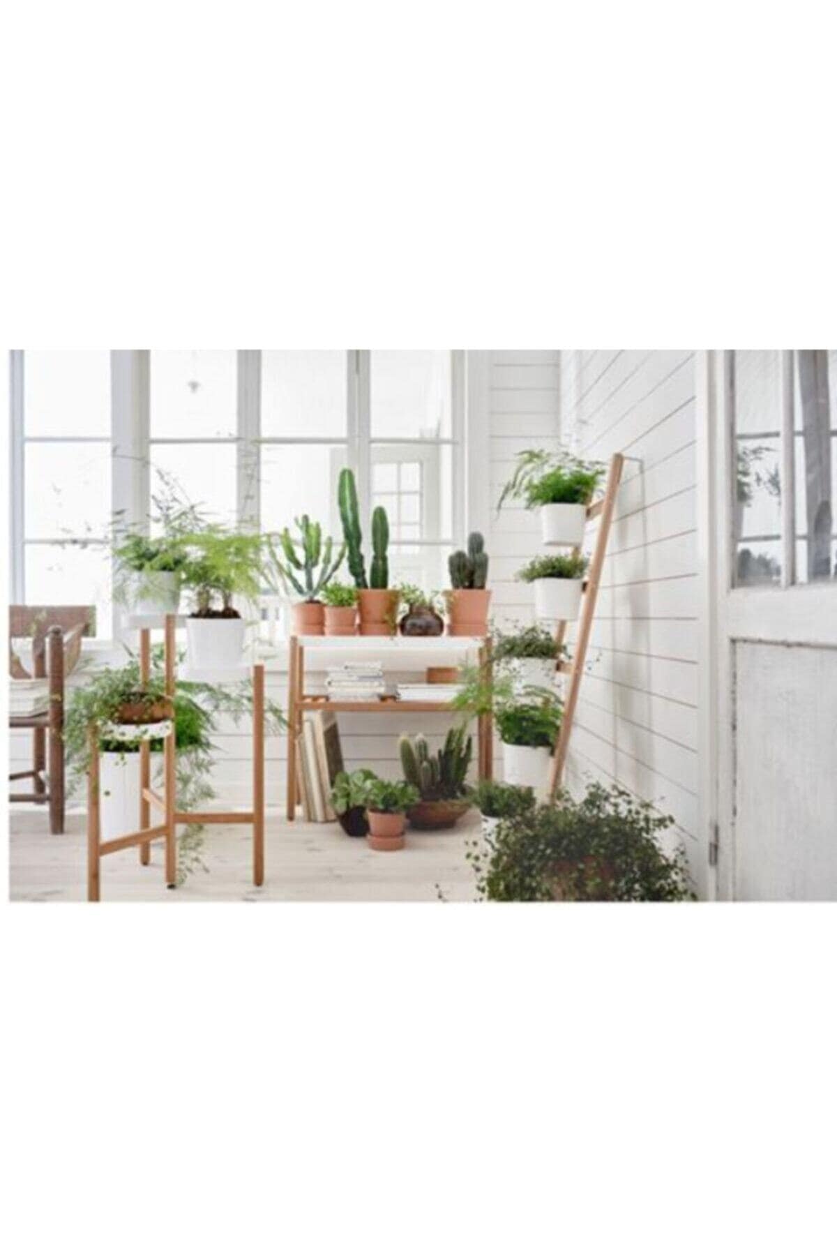 Satsumas Bambu-beyaz Çiçeklik 78cm - Görsel 3